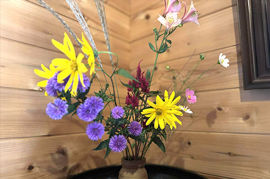 �H�̉Ԃ���