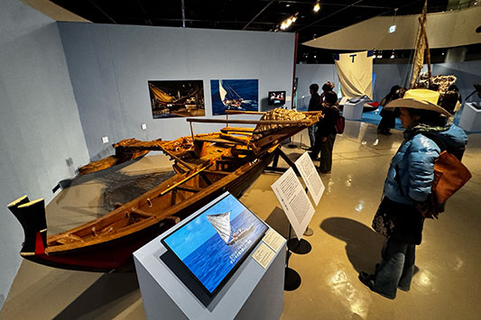 ���������w������