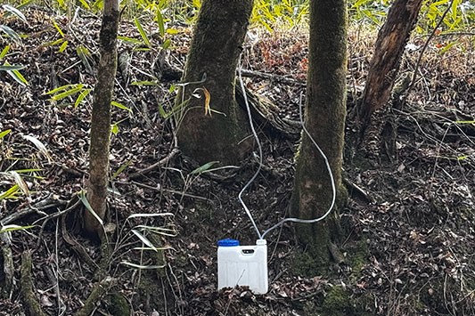 ���[�v������