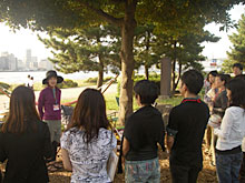 �R�[���}�����f�B�A���e��