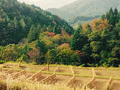 ���R�_�� ���Ƃ���