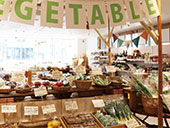 �i�`���������n�[���j�b�N�@�v�����c