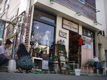 お店の内外には素敵な植物がたくさん、それだけでも楽しめるよ