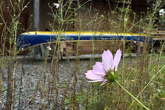 ��ƕ�炷����݂̃N���X