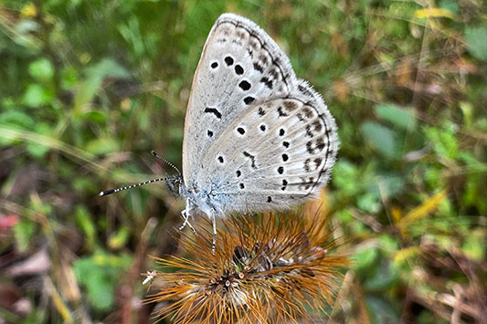 ��ƕ�炷����݂̃N���X