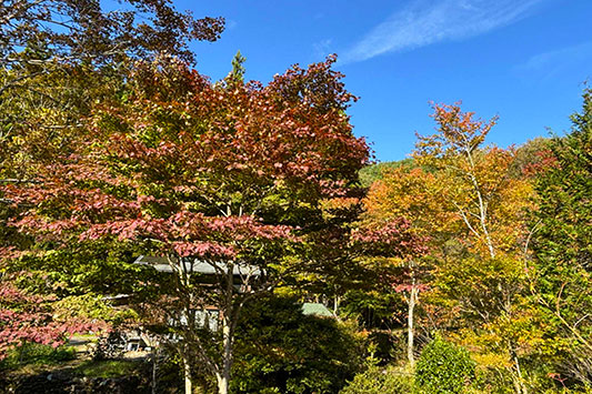 �g�t�̎n�܂�